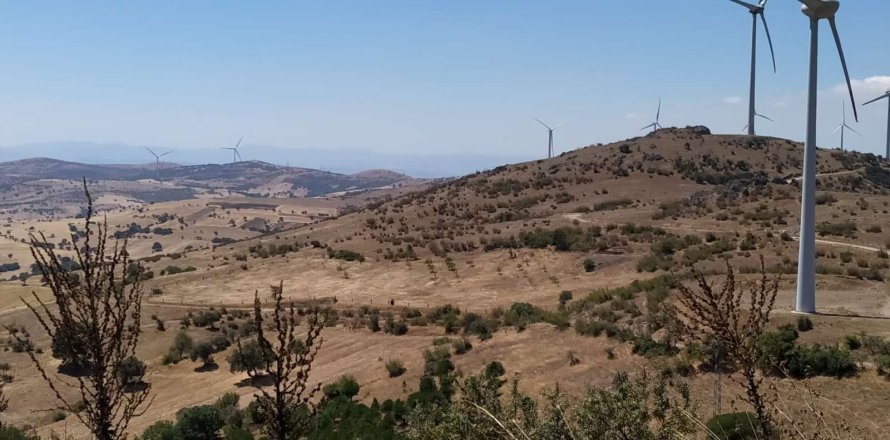زمین در Ayvalik ، ترکیه 8000 متر مربع. شماره 233139