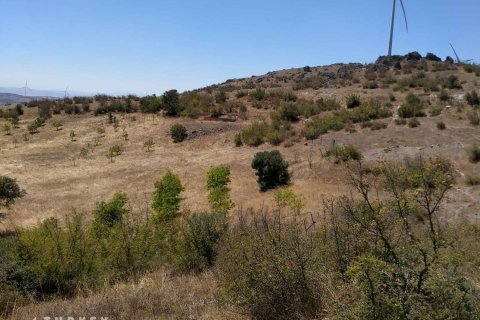 زمین در Ayvalik ، ترکیه 8000 متر مربع. شماره 233139 - 4