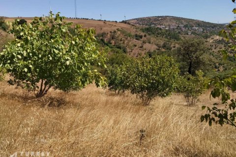 زمین در Ayvalik ، ترکیه 8000 متر مربع. شماره 233139 - 5