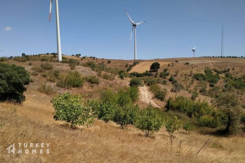 زمین در Ayvalik ، ترکیه 8000 متر مربع. شماره 233139 - 10