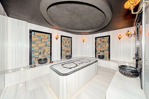 Daire 3+1 Kestel, Antalya, Türkiye №237633 - 17