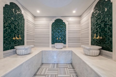 1+1 Lejlighed  i Alanya, Antalya, Tyrkiet Nr. 218935 - 12