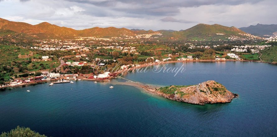 3+1 Villa  in Bodrum, Mugla, Turkey No. 221372