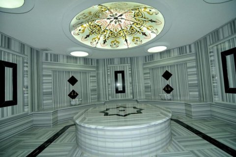 1+1 Lägenhet  i Kestel, Antalya, Turkiet Nr. 221376 - 12