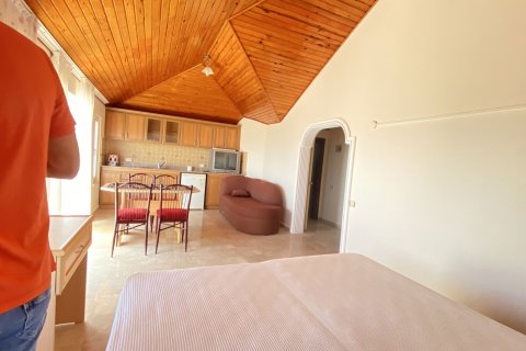 6+2 Villa  i Alanya, Antalya, Tyrkia Nr. 217917 - 21