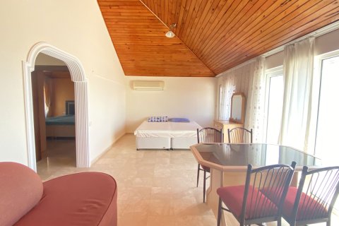 6+2 Villa  i Alanya, Antalya, Tyrkia Nr. 217917 - 22