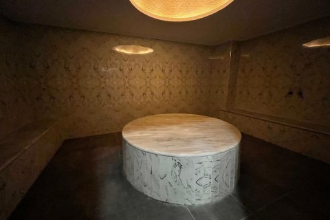 3+1 Lejlighed  i Alanya, Antalya, Tyrkiet Nr. 216601 - 17