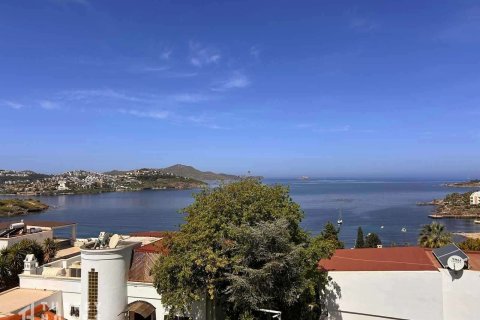Villa  5+1  Yalıkavak, Muğla, Türkiye №233093 - 23
