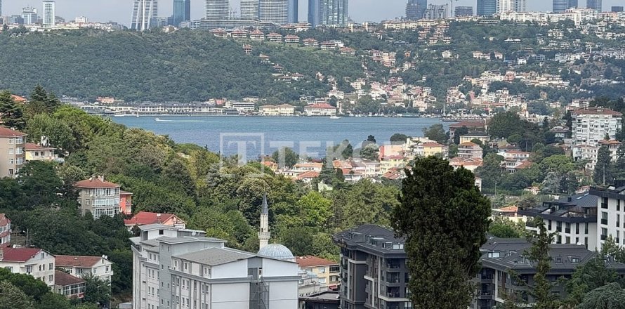2+1 Lägenhet i istanbul, Turkiet Nr. 228949