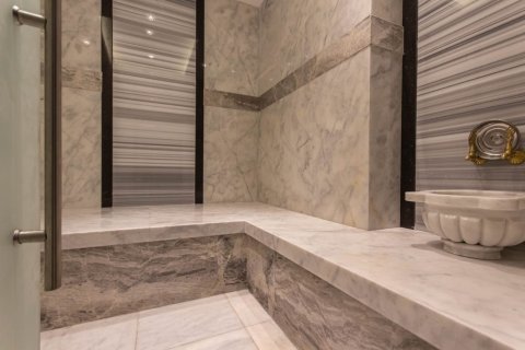 1+1 Wohnung  in Mahmutlar, Antalya, Türkei Nr. 228943 - 26