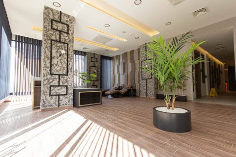 1+1 Wohnung  in Mahmutlar, Antalya, Türkei Nr. 228943 - 27