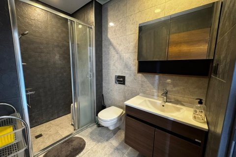1+1 Wohnung  in Mahmutlar, Antalya, Türkei Nr. 228943 - 9