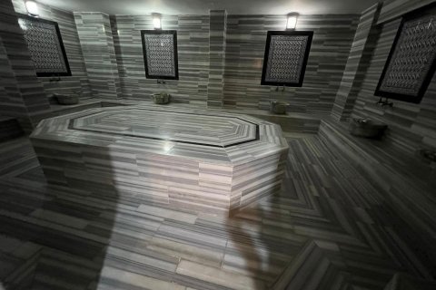 Daire  1+1  Kestel, Bursa, Türkiye №217495 - 11