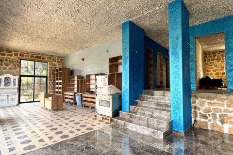 3+1 Villa  i Kestel, Bursa, Tyrkia Nr. 217497 - 8