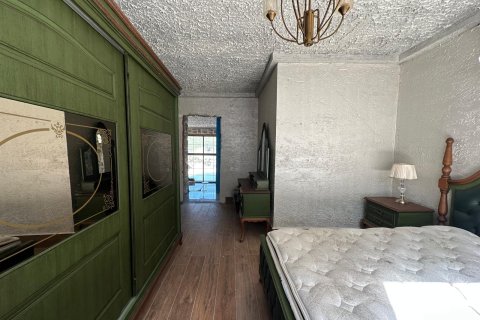 3+1 Villa  i Kestel, Bursa, Tyrkia Nr. 217497 - 13