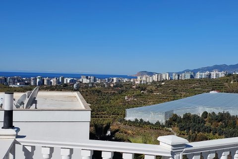 3+1 Villa  i Alanya, Antalya, Turkiet Nr. 217496 - 10