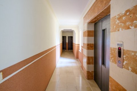 2+1 Lägenhet  i Alanya, Antalya, Turkiet Nr. 215243 - 20