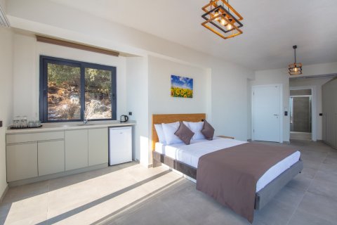 Продажа виллы  в Олюдениза, Мугле, Турция 6+1, 358м2, №213019 – фото 24