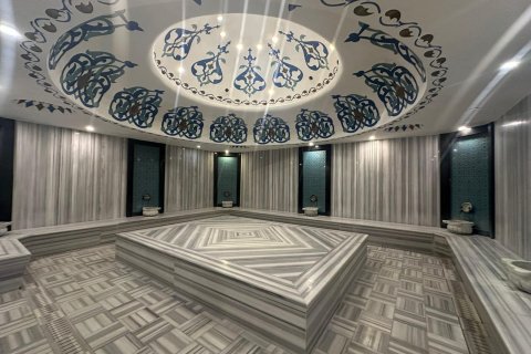 2+1 Lägenhet i Alanya, Antalya, Turkiet Nr. 217715 - 14