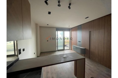 Daire 1+1 Kepez, Antalya, Türkiye №228324 - 11