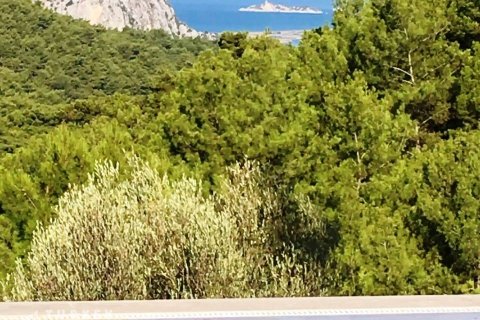 ویلا در Dalyan ، ترکیه 4 خوابه ، 300 متر مربع. شماره 233383 - 3