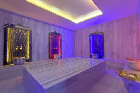 Аренда квартиры в Аланье, Анталье, Турция 1+1, 60м2, №216801 – фото 14