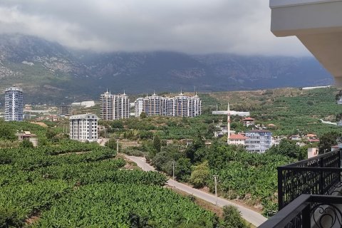 Квартира 1+1 в Аланье, Анталья, Турция №216801