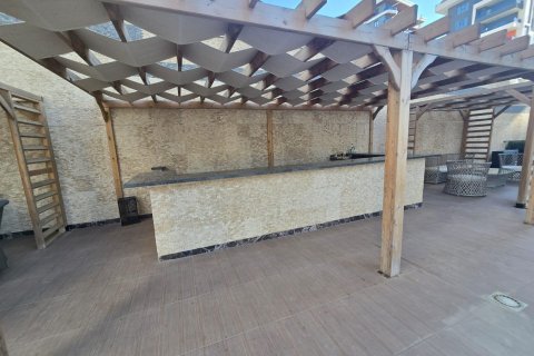 1+1 Lejlighed  i Alanya, Antalya, Tyrkiet Nr. 216803 - 13