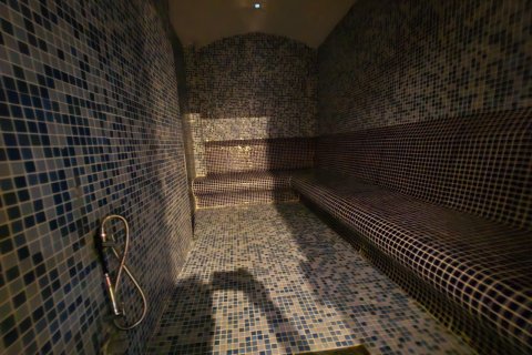 1+1 Lejlighed  i Alanya, Antalya, Tyrkiet Nr. 216803 - 11