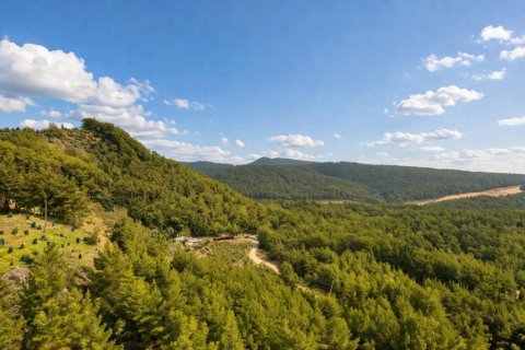 Daire   Avsallar, Antalya, Türkiye №215204 - 24