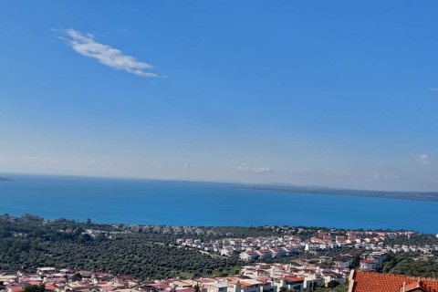 Tömma i Didim, Aydin, Turkiet Nr. 233958 - 2
