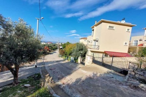 Tömma i Didim, Aydin, Turkiet Nr. 233958 - 6