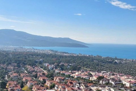 Land in Didim, Aydin, Türkei Nr. 233958