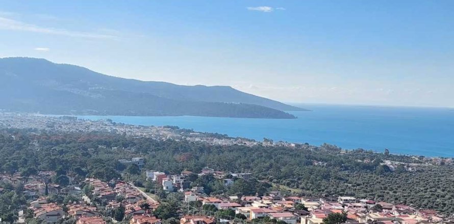 Tömma i Didim, Aydin, Turkiet Nr. 233958
