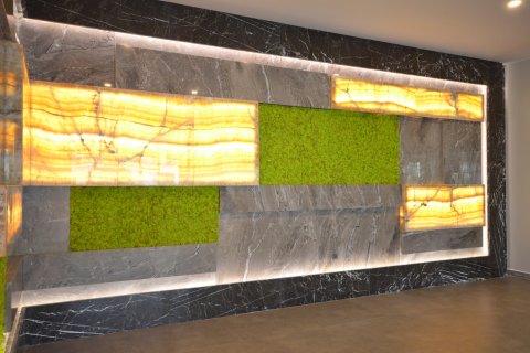 2+1 Lägenhet  i Alanya, Antalya, Turkiet Nr. 223154 - 28