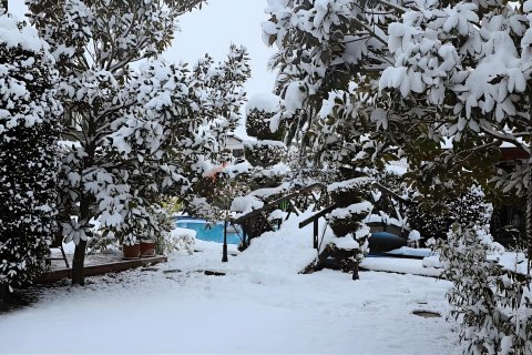 Villa  7+1  Tuzla, İstanbul, Türkiye №214720 - 3