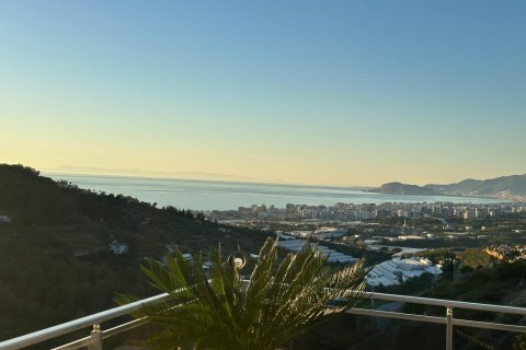 3+1 Villa  i Alanya, Antalya, Turkiet Nr. 217514 - 9
