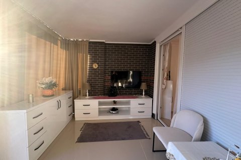 3+1 Villa  i Alanya, Antalya, Tyrkia Nr. 217514 - 11