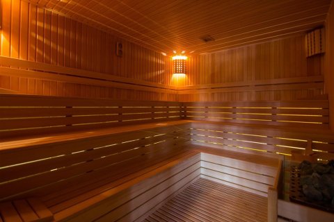 آپارتمان در  Alanya ، ترکیه 1 خوابه ، 65 متر مربع.  شماره 217513 - 15