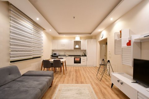 آپارتمان در  Alanya ، ترکیه 1 خوابه ، 65 متر مربع.  شماره 217513 - 4