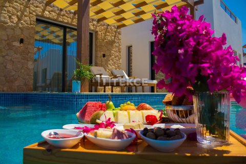 3+1 Penthäuser in Girne, Nr. 227711