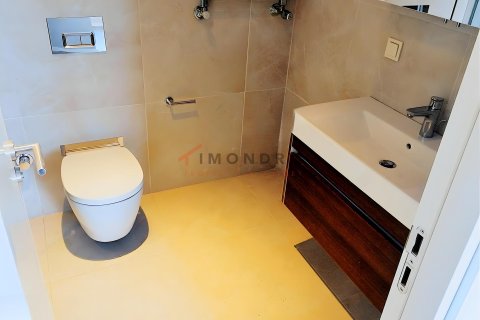 4+1 Lägenhet  i Zeytinburnu, Istanbul, istanbul, Turkiet Nr. 237887 - 27