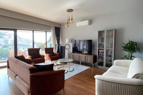 2+1 Lägenhet  i Beyoglu, Istanbul, istanbul, Turkiet Nr. 237886 - 5