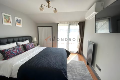 2+1 Lägenhet  i Beyoglu, Istanbul, istanbul, Turkiet Nr. 237886 - 12