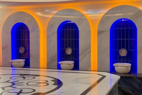 1+1 Lägenhet  i Alanya, Antalya, Turkiet Nr. 212458 - 11