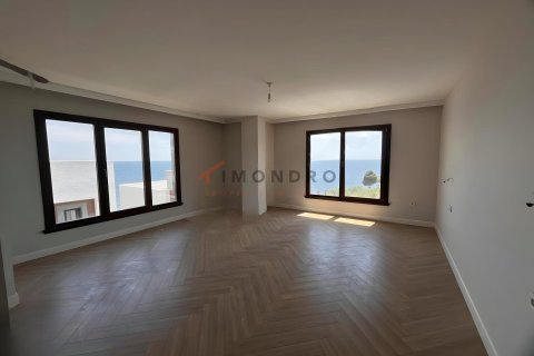Villa  5+1  Silivri, İstanbul, Türkiye №232397 - 12