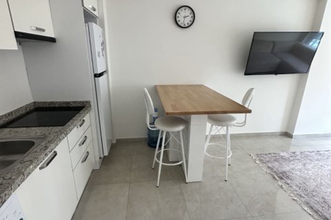 1+1 Leilighet  i Mahmutlar, Antalya, Tyrkia Nr. 213144 - 19