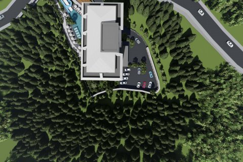 1+1 Lejlighed  i Alanya, Antalya, Tyrkiet Nr. 219265 - 10