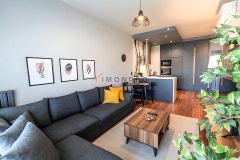 آپارتمان در Beyoglu، Istanbul ، ترکیه 1 خوابه ، 100 متر مربع. شماره 226662 - 2