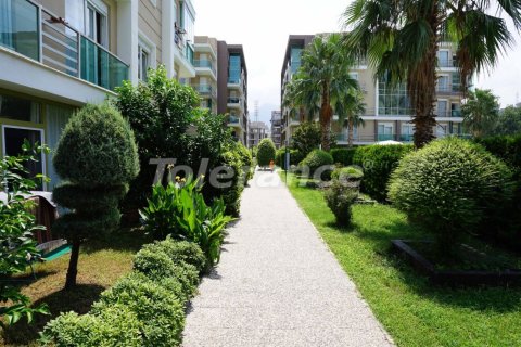 Daire  1+1  Antalya, Türkiye №52727 - 12